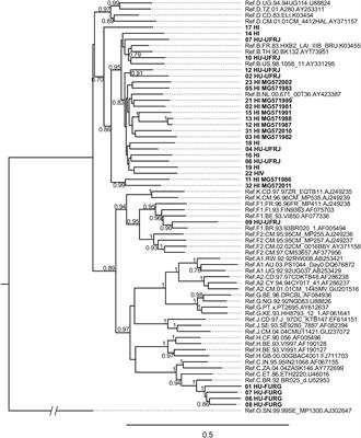 Estimating HIV-1 Genetic Diversity in Brazil Through Next-Generation Sequencing